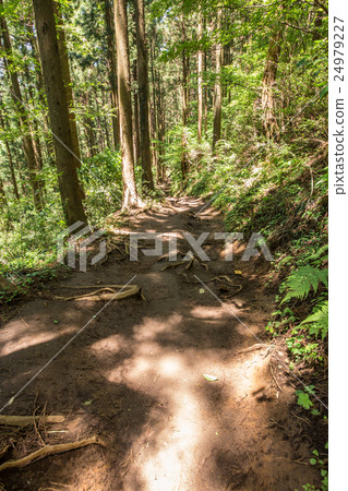From Mt. Takao to Kageiyama mountain climbing course From Mt. Takao to Kageiyama mountain climbing course 24979227