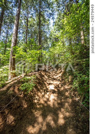 From Mt. Takao to Kageiyama mountain climbing course From Mt. Takao to Kageiyama mountain climbing course 24979449