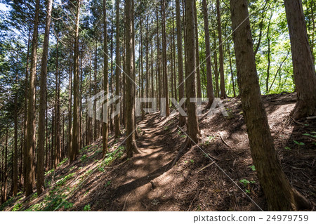 Mountain climb to Meiye Pass · climb course Mountain climb to Meiye Pass · climb course 24979759