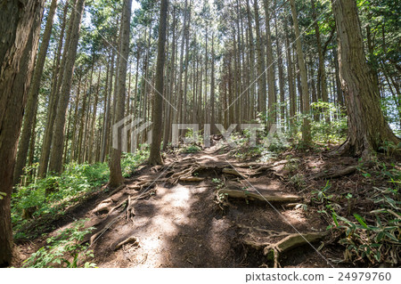 Mountain climb to Meiye Pass · climb course Mountain climb to Meiye Pass · climb course 24979760