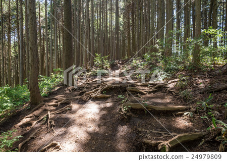 Mountain climb to Meiye Pass · climb course Mountain climb to Meiye Pass · climb course 24979809