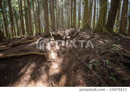 Mountain climb to Meiye Pass · climb course Mountain climb to Meiye Pass · climb course 24979813