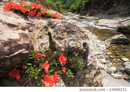 Tenkawa Iwazuji在初夏 24980251