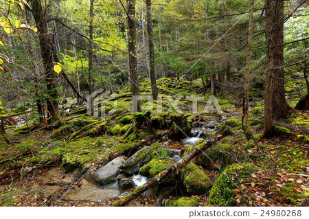 Kunitake Nobunaga山路的接近 24980268