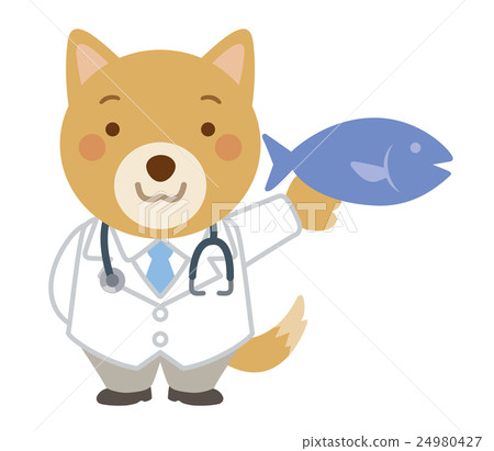 Doctor dog Veterinarian illustration Doctor dog Veterinarian illustration 24980427