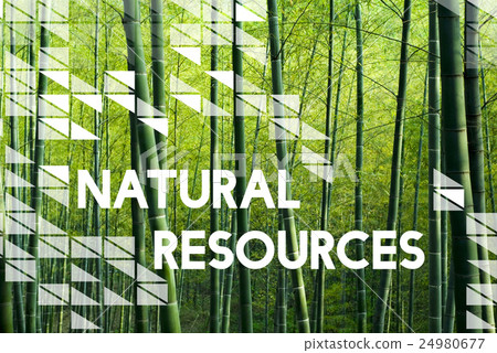 Nutural Environment Resources Nature Plants Concept Nutural Environment Resources Nature Plants Concept 24980677