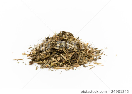 Feverfew: Feverfew 24981245