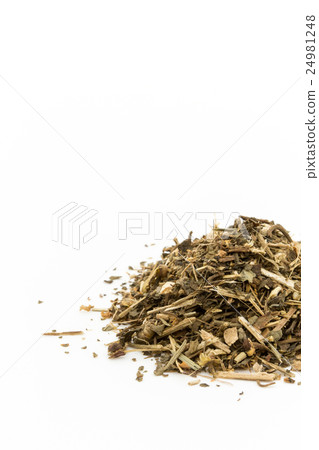 Feverfew: Feverfew Feverfew: Feverfew 24981248