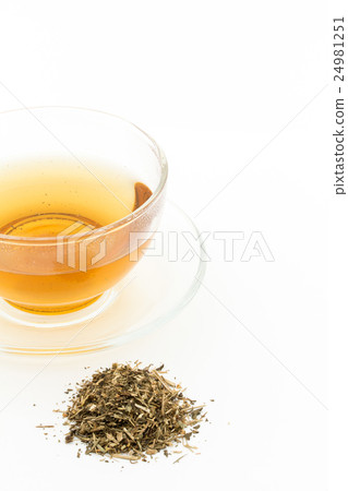 Fever Futi: Feverfew tea Fever Futi: Feverfew tea 24981251