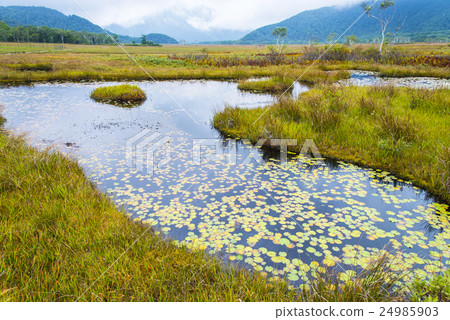 Okasebara's ital Town Okasebara's ital Town 24985903