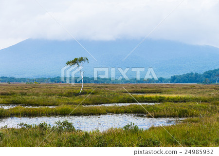 Okasebara's ital Town Okasebara's ital Town 24985932