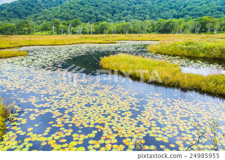 Ozegahara和Ikutan Ozegahara和Ikutan 24985955