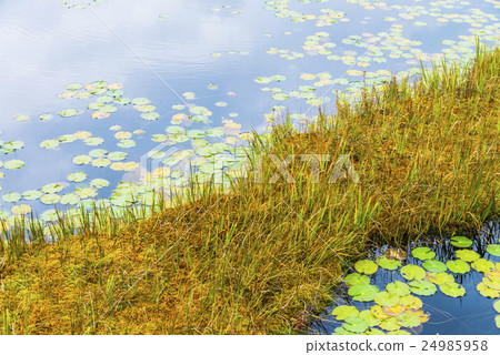 Ozegahara和Ikutan Ozegahara和Ikutan 24985958