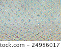 elegance fabric texture with glitter 24986017