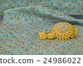 Golden jewelry on  elegance fabric 24986022