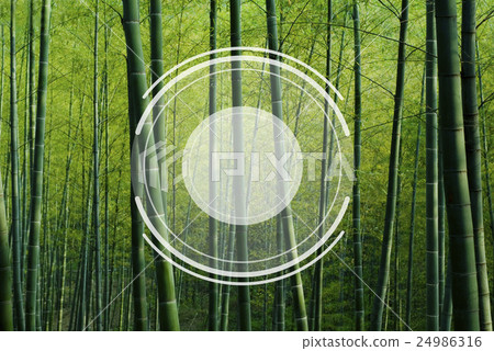 Camera Lens Image Photography Graphic Concept Camera Lens Image Photography Graphic Concept 24986316