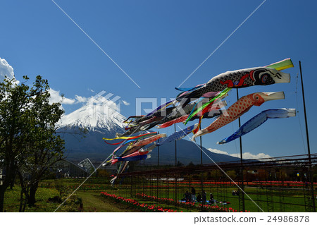 Fuji and carp streamers 24986878