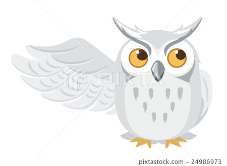 Owl illustration Owl illustration 24986973