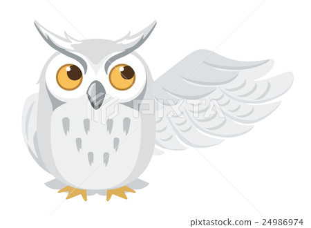 貓頭鷹插圖 貓頭鷹插圖 24986974