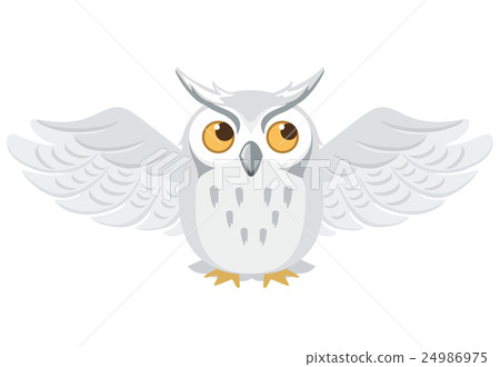 貓頭鷹插圖 貓頭鷹插圖 24986975