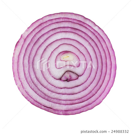 sliced red onion 24988332
