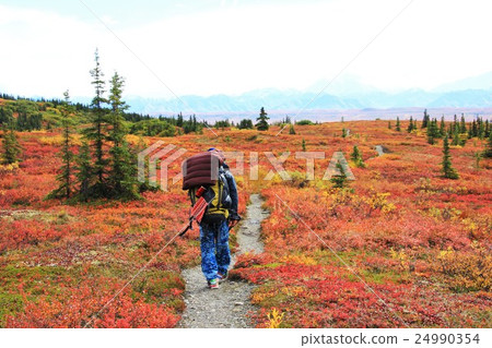 I will travel the autumn leaves I will travel the autumn leaves 24990354