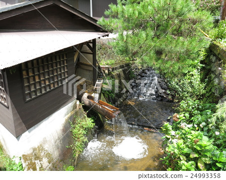 Tango in the village of Okada-yaki 24993358