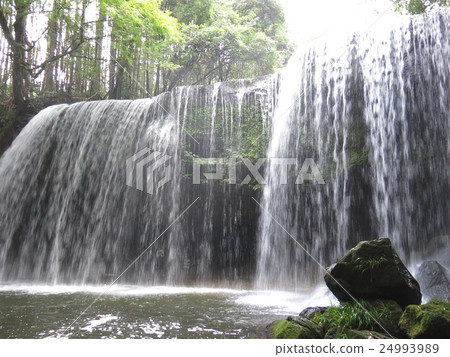 夏天的Nabegataki（瀑布後面的遊客） 24993989