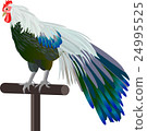 Illustration material of chicken (year of roots) Illustration material of chicken (year of roots) 24995525