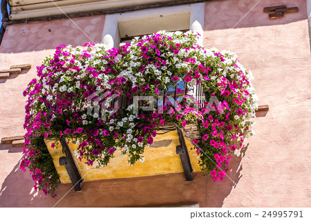 flowered balcony 24995791