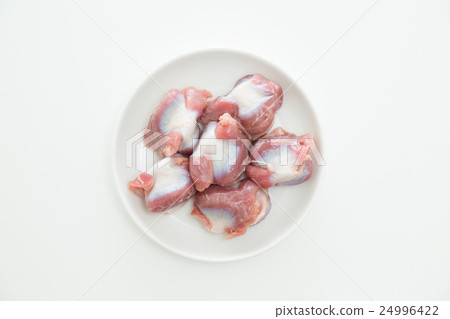 Chicken's sand liver white back 24996422