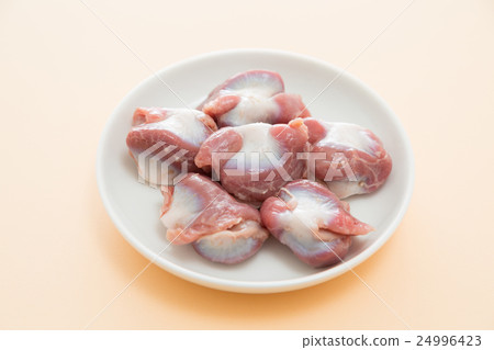 Chicken's sand liver white back Chicken's sand liver white back 24996423