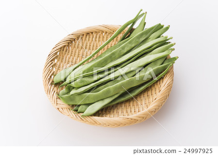 摩洛哥四季豆 24997925