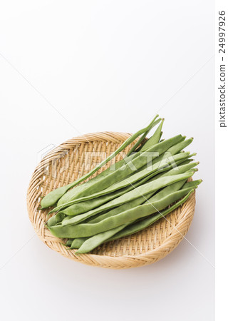 摩洛哥四季豆 24997926