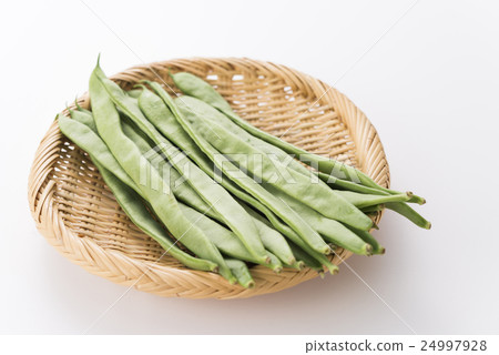 摩洛哥四季豆 摩洛哥四季豆 24997928