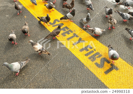 Safety First sign on caution strip. 24998318