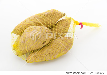 Potato Potato 24998377