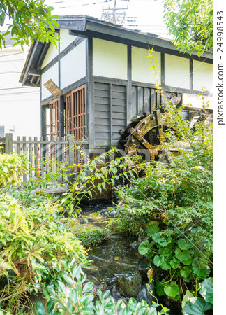 Meika's school 24998543