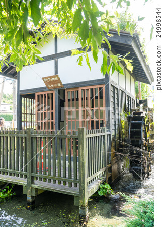 Meika's school 24998544