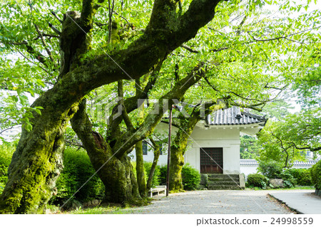 小田原城Ninomaru開角器 小田原城Ninomaru開角器 24998559
