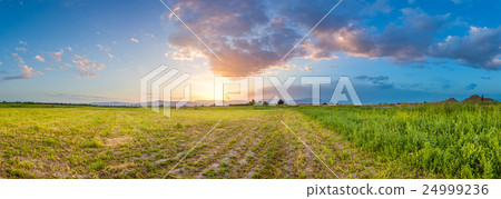 field and sky on sunset field and sky on sunset 24999236
