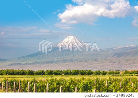 Ararat mountain and field Ararat mountain and field 24999245