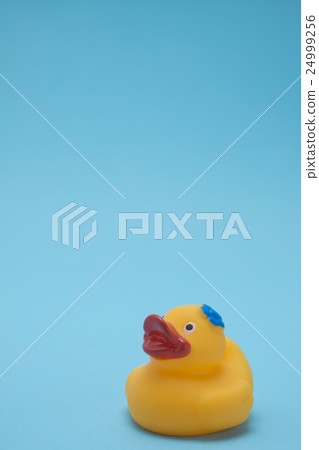 Duck, hot summer sunrise Duck, hot summer sunrise 24999256