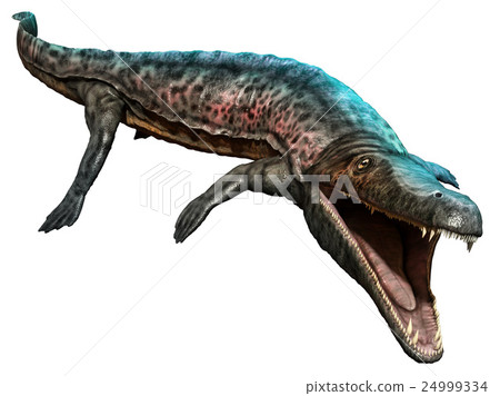 Archegosaurus Archegosaurus 24999334