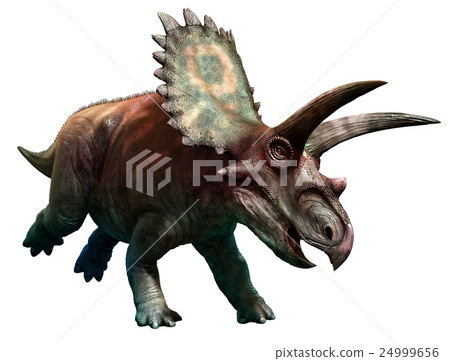 Coahuilaceratops 24999656
