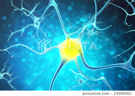 Neurons in the human nervous system with the Neurons in the human nervous system with the 24999901