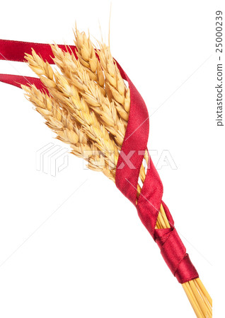 Ears of wheat tied with red ribbon 25000239