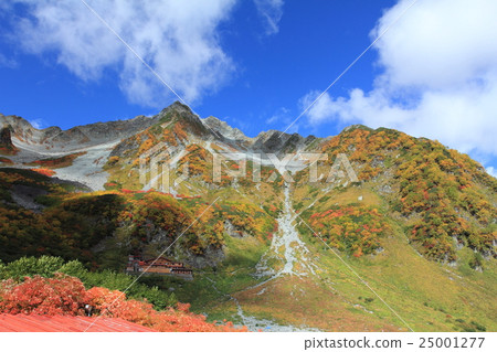 图库照片 穗高山 穗高岳山 枫树