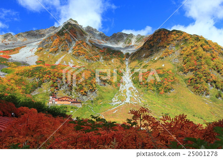 Hokuto Fukatake of autumn leaves 25001278