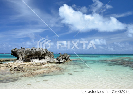 約倫之海 25002034